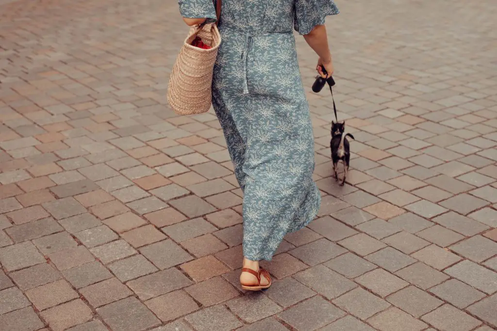 woman in blue and white floral dress walking small dog