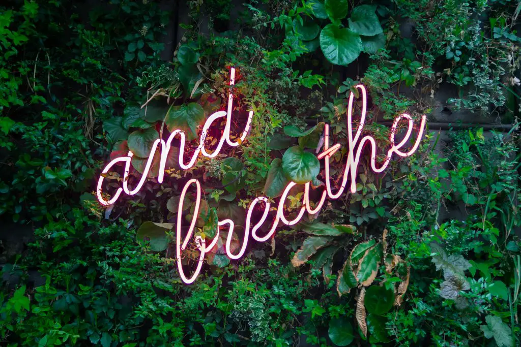 and breathe puple neon sign on leaf background