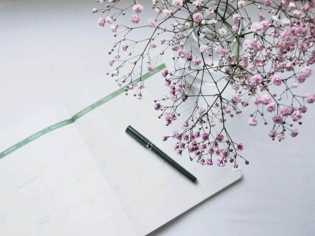 pink flowers besides notebook and pen on white background