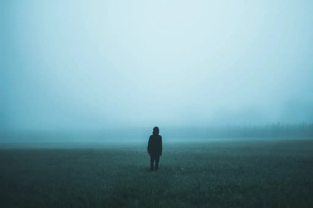 person standing in field in fog