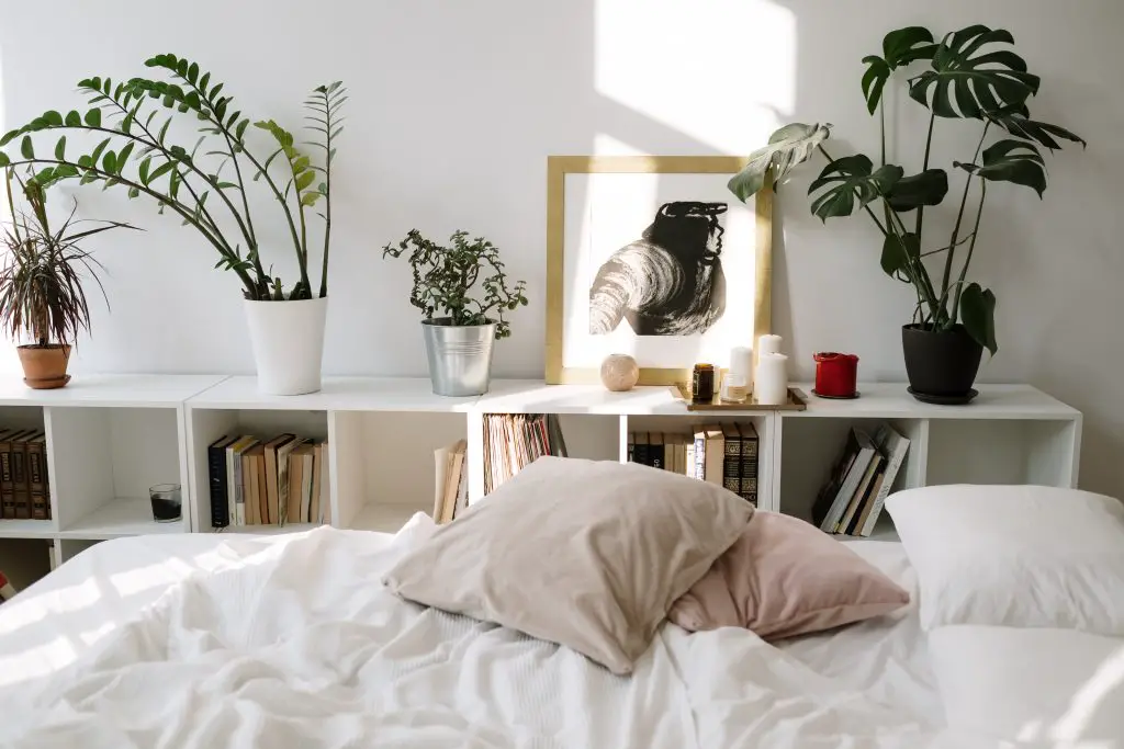 white bed linen beside green potted plant