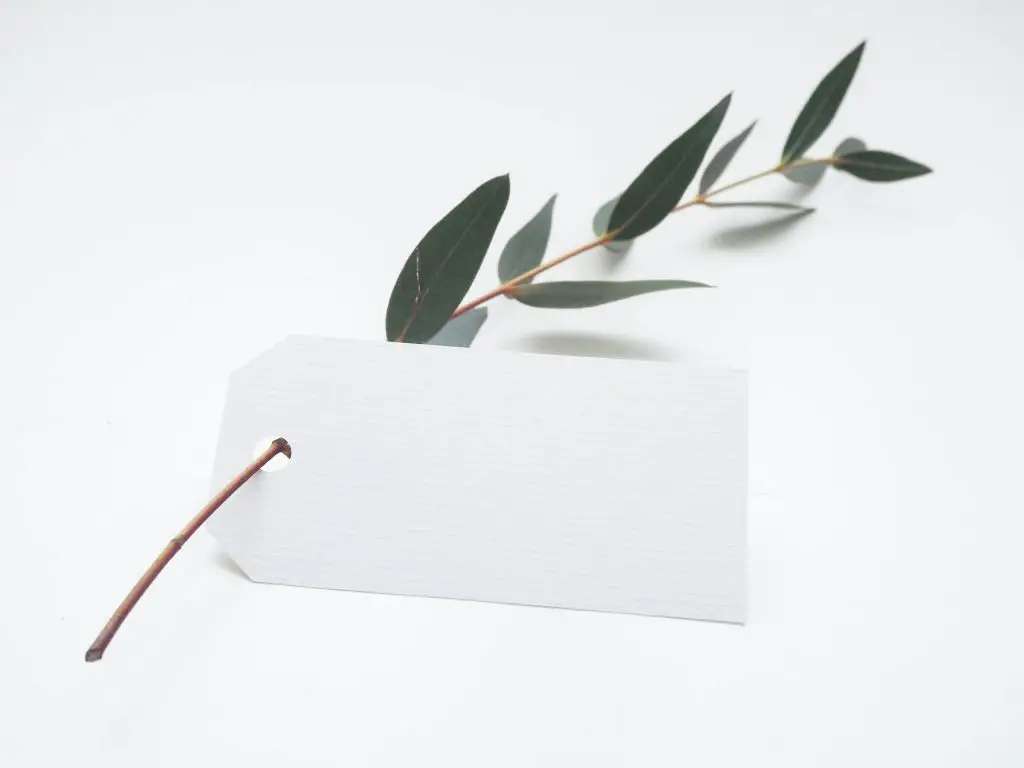 green leaf on white paper