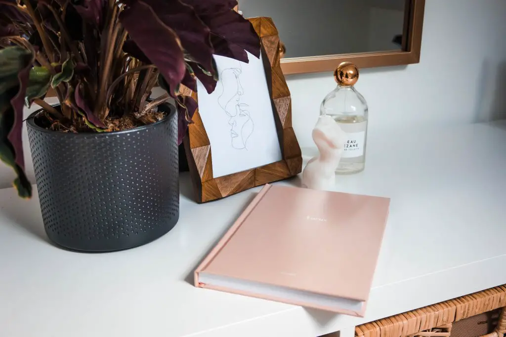 pink notebook and plant on white table