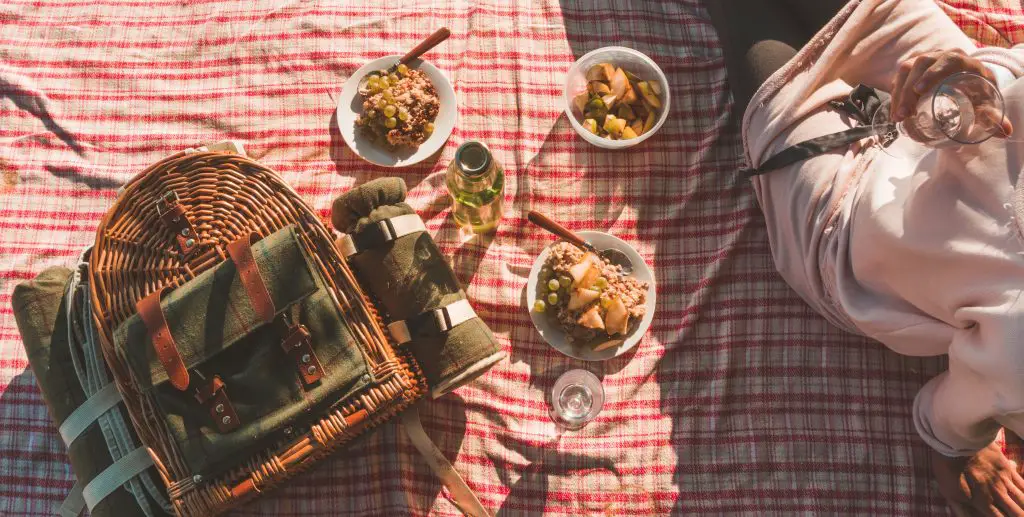 picnic blanket with basket and food