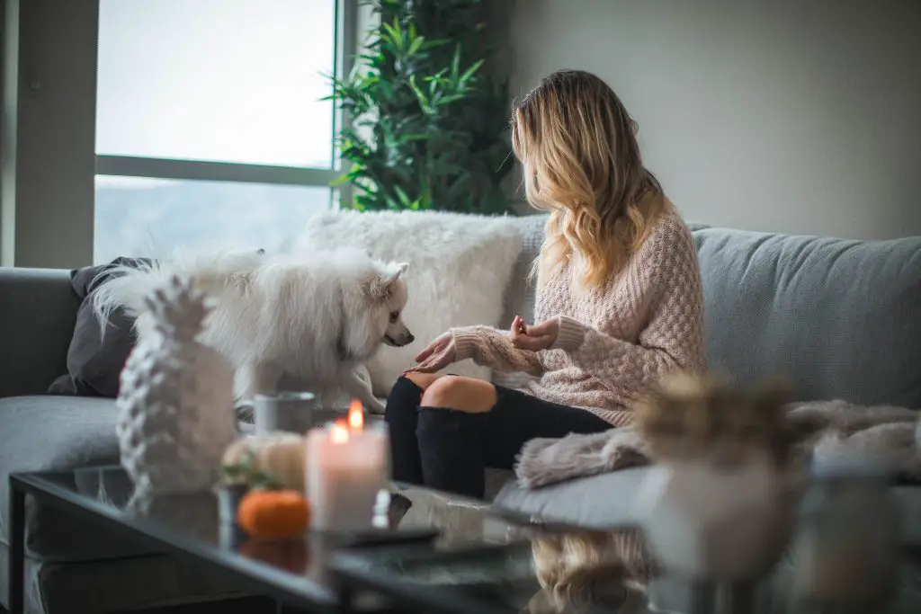 woman sitting sofa holding food for dog