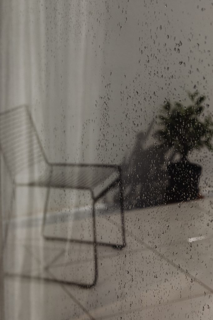 balck chair and plant in refelction of window