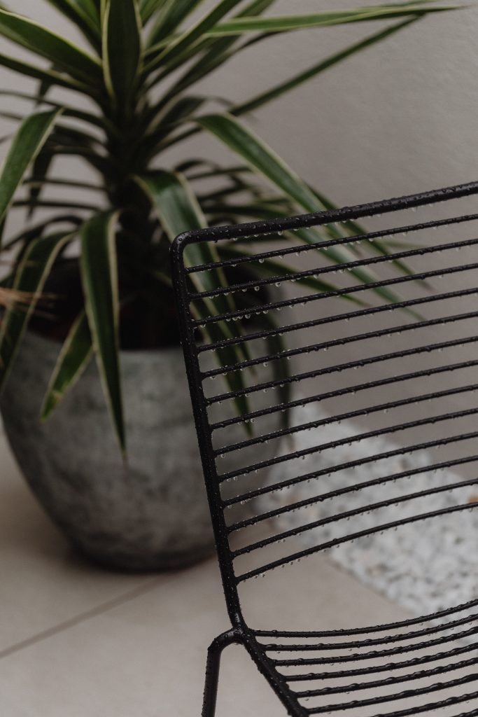 black chair in front of plant in grey pot